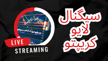  افشای راز موفقیت با وین ریت ۹۵٪ در فارکس